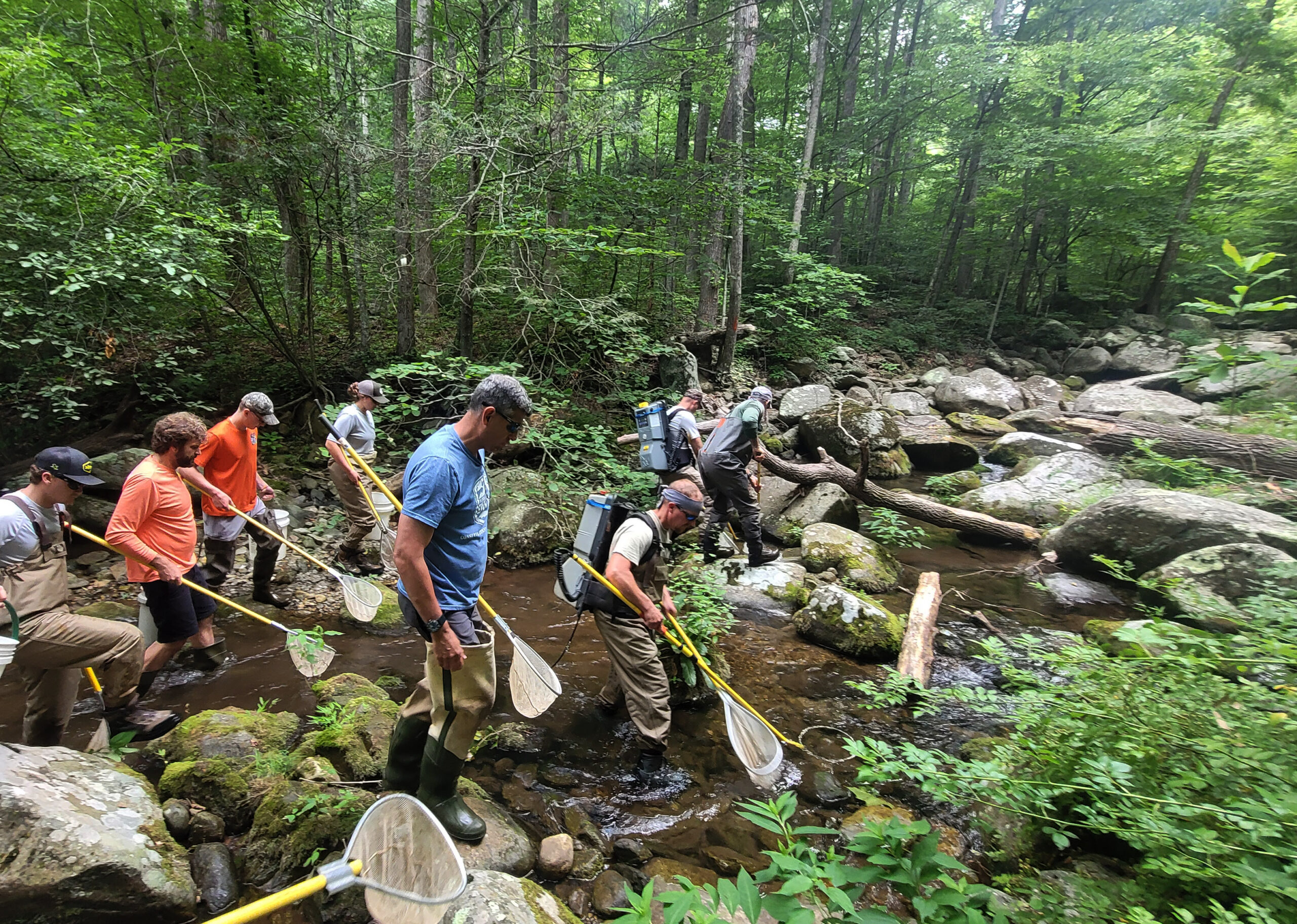 Several members of Virginia AFS conduct an electrofishing survey